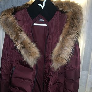 Mackage Adali Coat Size Large in Burgundy